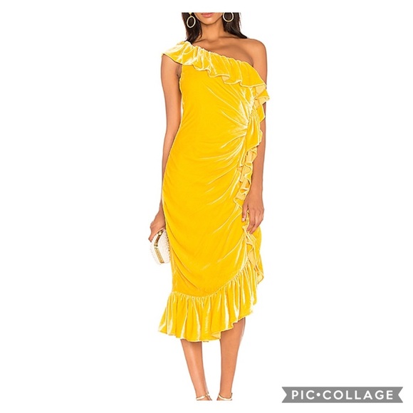 Mestiza New York Dresses & Skirts - Mestiza New York Flamenco Velvet Ruffle Dress